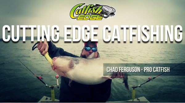 How To Rig and Fish The Ultra Chub [Catfish Rigs - Whisker Seeker