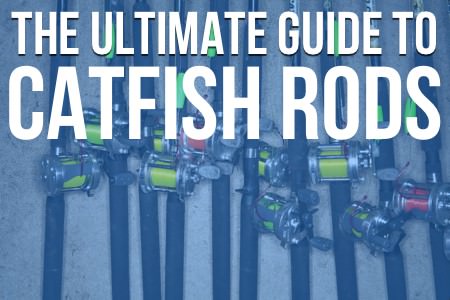 Catfish Rods The Ultimate Guide To Catfish Rods