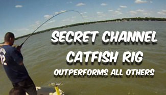 Best Catfish Bait: The Top 5 Catfish Baits Made Simple